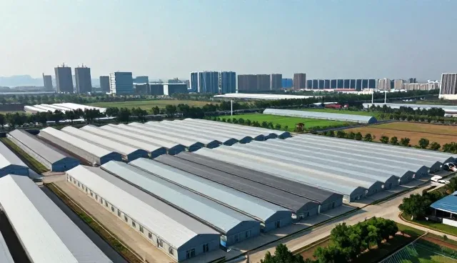 信息化方案在复杂场景中的性能适配与优化路径